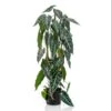 Emerald Alocasia Artificiel 75 Cm En Pot