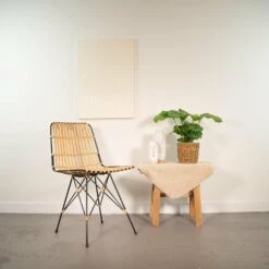 VIDA Plantes Magasin -VIDA Plantes Magasin 0a1d4522cdd0a9fb