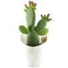 Opuntia Inamoena (ou Tacinga Inamoena) - Pot D14cm -VIDA Plantes Magasin 1024867 1471930