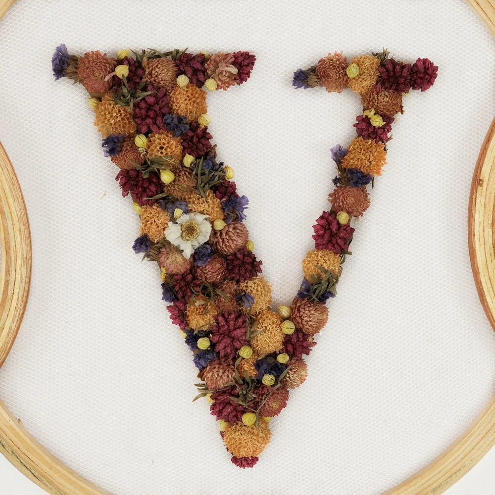 Fleurs Séchées Suspension Murale 86x2x33cm 6 Fleurs Séchées Suspension Murale 86x2x33cm – Image 4