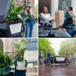 Hedera Lierra Tombant - H70cm, ø24cm - Plante D'intérieur Tombante -VIDA Plantes Magasin 364fae982ce3b9e4