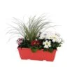 Jardinière De Bisannuelles Et Vivaces 40 Cm - Coloris Variables -VIDA Plantes Magasin 417571 006