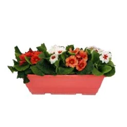 Primevères En Jardinière De 40cm Couleur - Coloris Variables -VIDA Plantes Magasin 440466 009