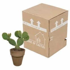 Opuntia Microdasys Et Son Cache-pot Marron - H40cm, ø17cm - Plante D'intérieur -VIDA Plantes Magasin 48d55715481eec9b