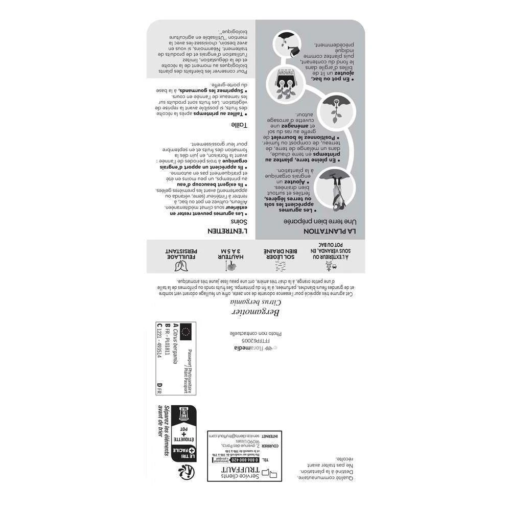 Bergamotier:AB Conteneur 3 Litres 5 Bergamotier:AB Conteneur 3 Litres – Image 3