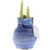 Bulbe D'amaryllis En Chaussette Moderne "fashion Streetlife" Look Jean -VIDA Plantes Magasin 509963f6ff4be5e6