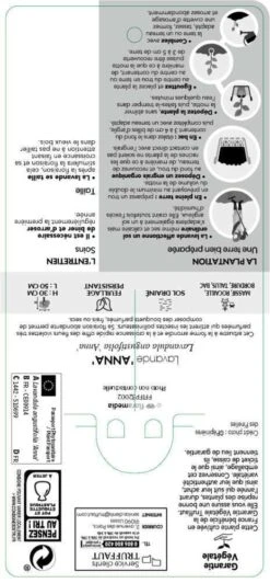 Lavandula Angustifolia Anna : C. 3L -VIDA Plantes Magasin 510699 005