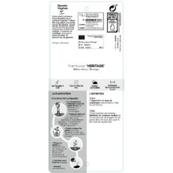 Framboisier 'Héritage' : Pot De 5 Litres -VIDA Plantes Magasin 523572 1391392