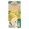 Yuzu AB:pot 3L -VIDA Plantes Magasin 540978 008