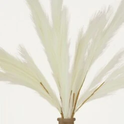 Plumeau Artificiel Crème 110cm Lot De 3 -VIDA Plantes Magasin 5f151de4520e3202