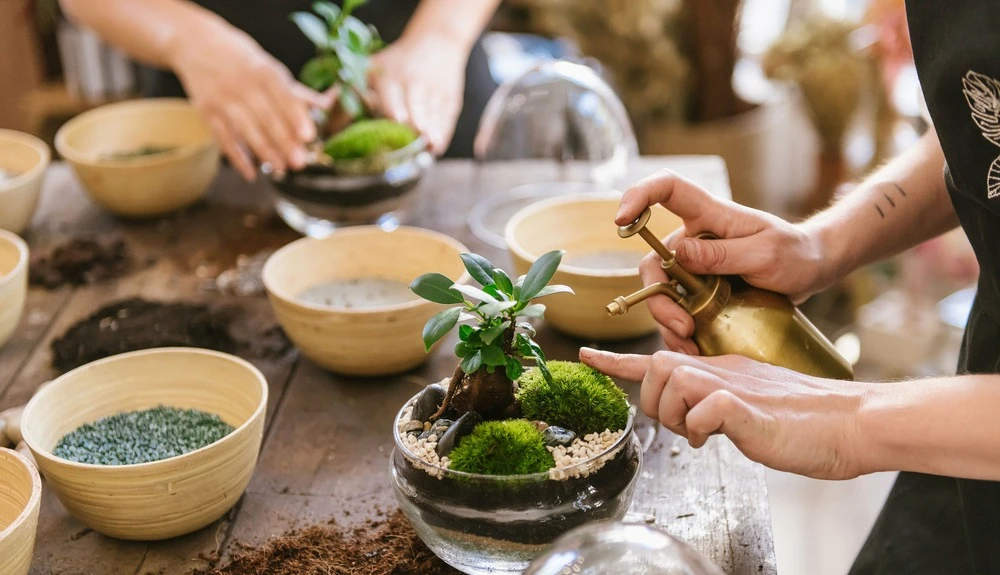 Plante D'intérieur - Zamioculcas Zamiifolia L 65cm 4 Plante D'intérieur - Zamioculcas Zamiifolia L 65cm – Image 2