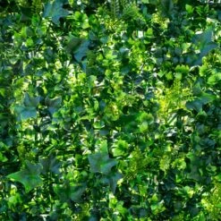 Mur Végétal Artificiel Extérieur Et Intérieur Prêt à Poser 1m X 1m Lierre 10 Mur Végétal Artificiel Extérieur Et Intérieur Prêt à Poser 1m X 1m Lierre -VIDA Plantes Magasin 63add93e4738f1.73564741