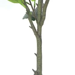 Plante Artificielle - Figuier 135cm -VIDA Plantes Magasin 63cbb442b97305.38121552