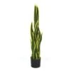 Plante Artificielle - Sanseviera Jaune 89cm -VIDA Plantes Magasin 63cbb449dc6d58.53762149
