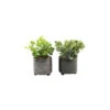 Plante Succulente Artificielle En Pot émaillé (lot De 2) -VIDA Plantes Magasin 63dd4fab74b249.00690017