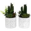 Plante Succulente Artificielle Pot En Ciment (lot De 2)