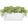 Balconnière Blanche En Zinc Et 3 Lierres -VIDA Plantes Magasin 63dd53331e3cb8.06328053