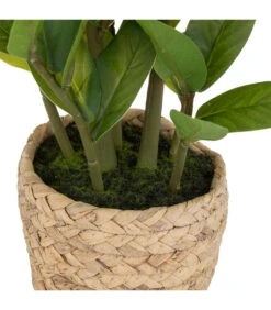 ATMOSPHERA Plante Artificielle Zamio En Pot H 41 Cm -VIDA Plantes Magasin 63eb35dbddde12.31611138
