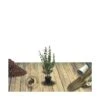 Seringat Commun Coronarius/pot De 4l - 40/60 Cm -VIDA Plantes Magasin 63ed36e9544569.86427109