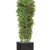 Schefflera Artificiel En Colonne En Pot H 195 Cm Vert-jaune 2 Schefflera Artificiel En Colonne En Pot H 195 Cm Vert-jaune -VIDA Plantes Magasin 63f60821727c15.67875489
