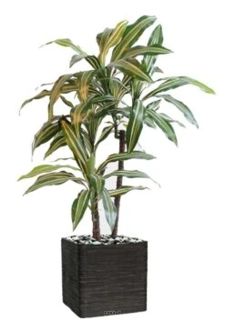 Dracaena Artificiel 3 Têtes H 90 Cm En Pot Vert-jaune -VIDA Plantes Magasin 63f6082779db42.86989259