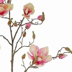 Branche De Magnolia Artificiel 4 Fleurs 22 Boutons H 107 Cm Rose Pâle - Couleur: -VIDA Plantes Magasin 63f60829182764.73474808