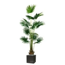 Palmier Fan Artificiel En Pot H 180 Cm 12 Tiges -VIDA Plantes Magasin 63f6082d5fef80.94235589