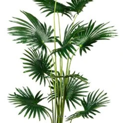 Palmier Fan Artificiel En Pot H 180 Cm 12 Tiges -VIDA Plantes Magasin 63f6082d632ec1.19094150