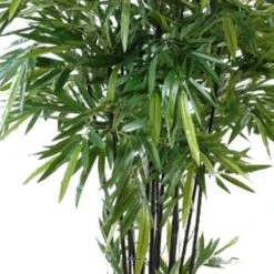 Bambou Artificiel à Cannes Noires Effet Zen H 210 Cm - Choisissez Votre Hauteur: 7 Bambou Artificiel à Cannes Noires Effet Zen H 210 Cm - Choisissez Votre Hauteur: -VIDA Plantes Magasin 63f6082edc5132.81190497