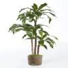 Dracaena Artificiel Fragrans 3 Troncs En Pot H 150 Cm Vert D 70 Cm - Choisissez