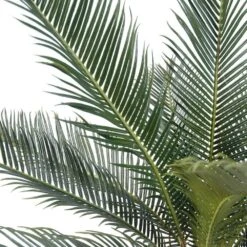 Palmier Cycas Artificiel En Pot H 50 Cm Vert - Choisissez Votre Hauteur: H 50 Cm -VIDA Plantes Magasin 63fa5142a15859.96036681