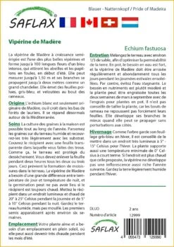 Kit De Culture - Vipérine De Madère - 100 Graines - Echium Fastuosa -VIDA Plantes Magasin 6406412299e721.92441233