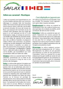 Kit De Culture - Arbre Au Caramel - 200 Graines - Cercidiphyllum Japonicum -VIDA Plantes Magasin 64064132c9d4c4.04855019