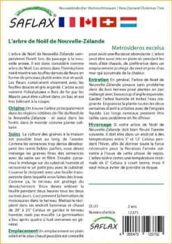 Kit De Culture - L'arbre De Noël De Nouvelle-zélande - 300 Graines - Metrosideros Excelsa -VIDA Plantes Magasin 6406415d43fb13.76934822