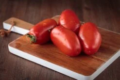 Kit De Culture - Bio - Tomate - San Marzano - 15 Graines - Solanum Lycopersicum -VIDA Plantes Magasin 6406416b4f7255.16851216