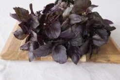 Kit De Culture - Bio - Basilic - Pourpre - 400 Graines - Ocimum Basilicum -VIDA Plantes Magasin 6406417786e992.51293442