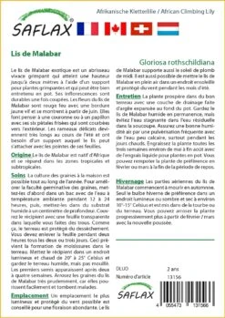 Kit De Culture - Lis De Malabar - 15 Graines - Gloriosa Rothschildiana -VIDA Plantes Magasin 640641794d5843.34319572