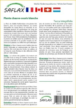 Kit De Culture - Plante Chauve-souris Blanche - 10 Graines - Tacca Integrifolia -VIDA Plantes Magasin 6406417d60c3a0.37345696