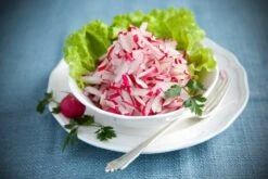 Kit De Culture - Bio - Radis - Cherry Bell - 100 Graines - Raphanus Sativus -VIDA Plantes Magasin 640641a656fec4.35520788