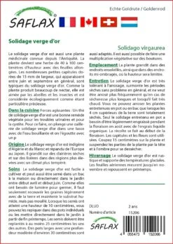 Kit De Culture - Solidage Verge D'or - 100 Graines - Solidago Virgaurea -VIDA Plantes Magasin 640641b4d55022.73382482