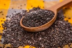 Kit De Culture - Bio - Sauge - 60 Graines - Salvia Officinalis -VIDA Plantes Magasin 640641bf510530.24887861