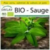 Kit De Culture - Bio - Sauge - 60 Graines - Salvia Officinalis -VIDA Plantes Magasin 640641bf5e15a5.12915885