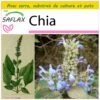 Kit De Culture - Chia - 500 Graines - Salvia Hispanica 1 Kit De Culture - Chia - 500 Graines - Salvia Hispanica -VIDA Plantes Magasin 640641c58004a2.52147519