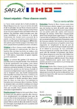 Kit De Culture - Géant Népalais - Fleur Chauve-souris - 10 Graines - Tacca Nevia White -VIDA Plantes Magasin 640641cb3c2931.45314096