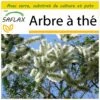 Kit De Culture - Arbre à Thé - 400 Graines - Melaleuca Alternifolia -VIDA Plantes Magasin 640641cc6b35d8.56571998