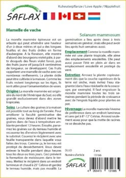 Kit De Culture - Mamelle De Vache - 10 Graines - Solanum Mammosum -VIDA Plantes Magasin 64064214c42f55.18867220