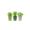 3 Pots D'herbes Aromatiques -VIDA Plantes Magasin 640a28507d91e1.45507762