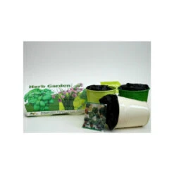 3 Pots D'herbes Aromatiques -VIDA Plantes Magasin 640a2850867872.63073438