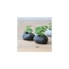 Kit Basilic Pot En Pierre -VIDA Plantes Magasin 640a2945ed0147.32740608