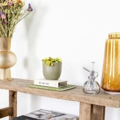 Dionaea Muscipula – Plante Carnivore – Peu D'entretien – ⌀12 Cm – ↕10-15 Cm -VIDA Plantes Magasin 640b20a5e78e48.00125916